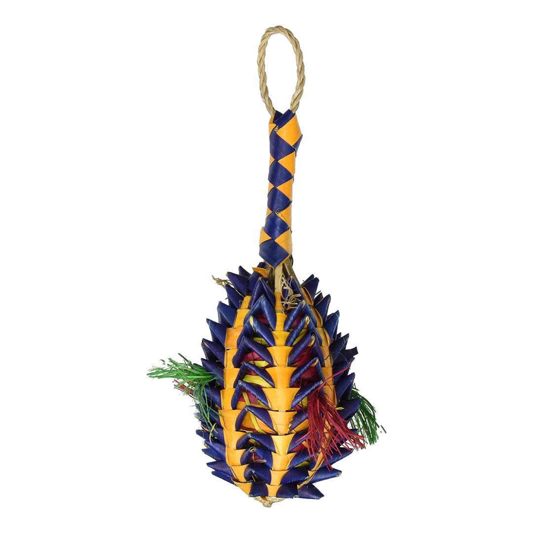 Planet Pleasures Pineapple Bird Toy